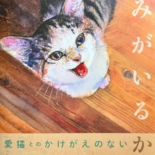 ねこの12星座占い―STAR CATS | 猫本専門書店 書肆 吾輩堂