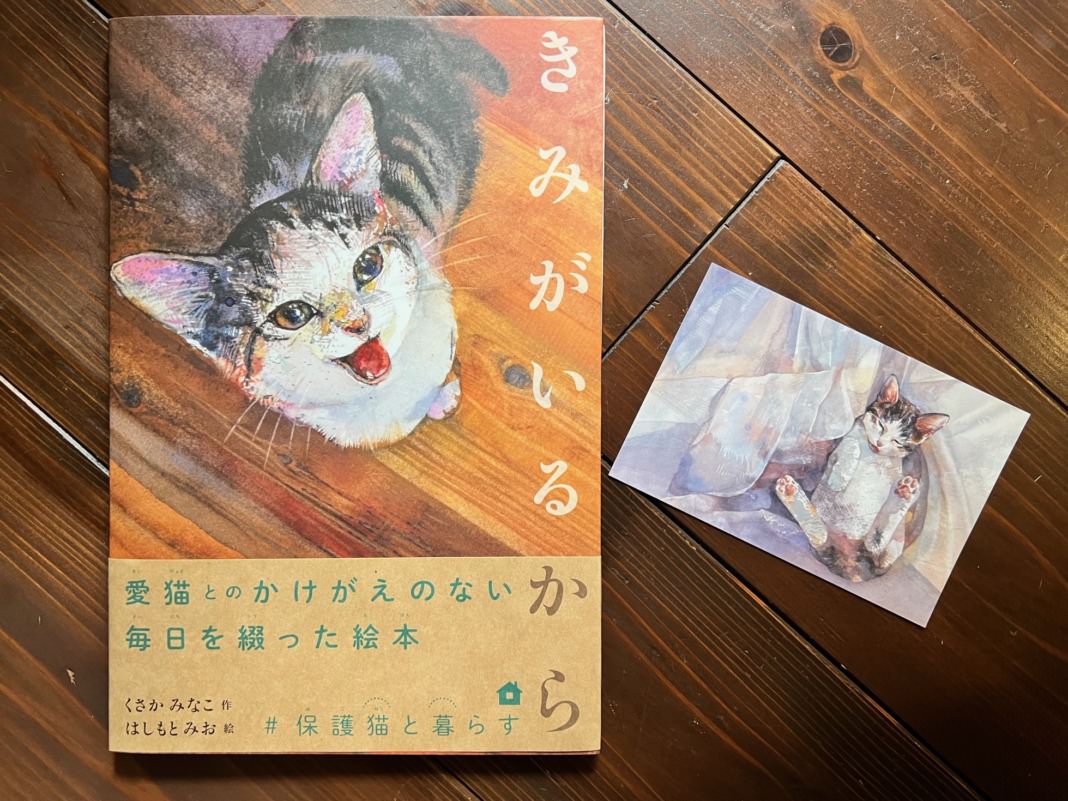 ばばのぼる先生直筆サイン入りの猫の絵 直筆サイン・イラスト入り