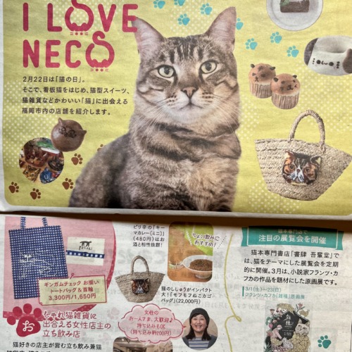 福岡の情報誌にご掲載頂きました