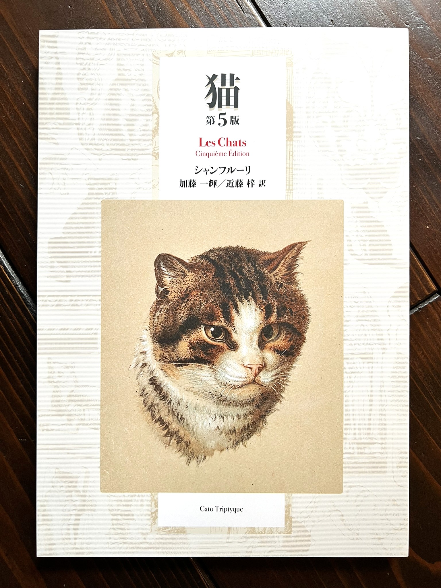 (F4号）安藤絵流「蒼い瞳のねこ」真作/肉筆/表裏にサイン有り/黒猫 fit=scale-down,w=1200