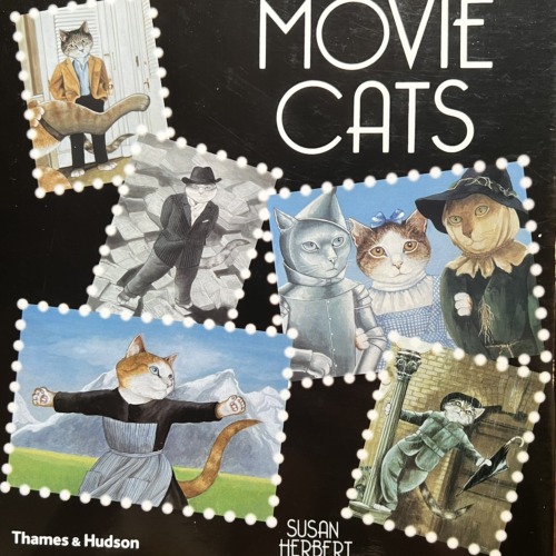 MOVIE CATS
