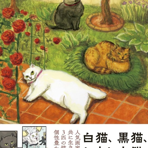 白猫、黒猫、しましま猫