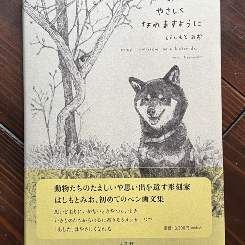 あしたやさしくなれますように