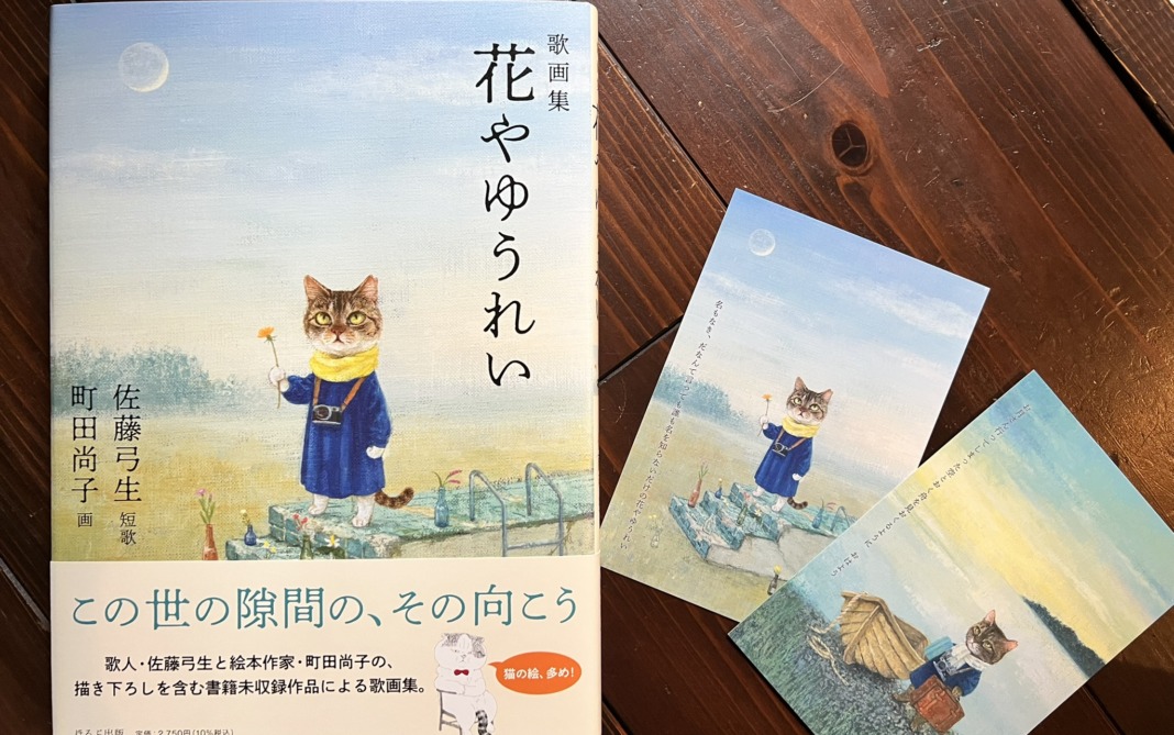 猫先輩 ねこ先輩 (@necosempai) / Posts / X