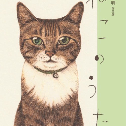 猫本専門書店 書肆 吾輩堂