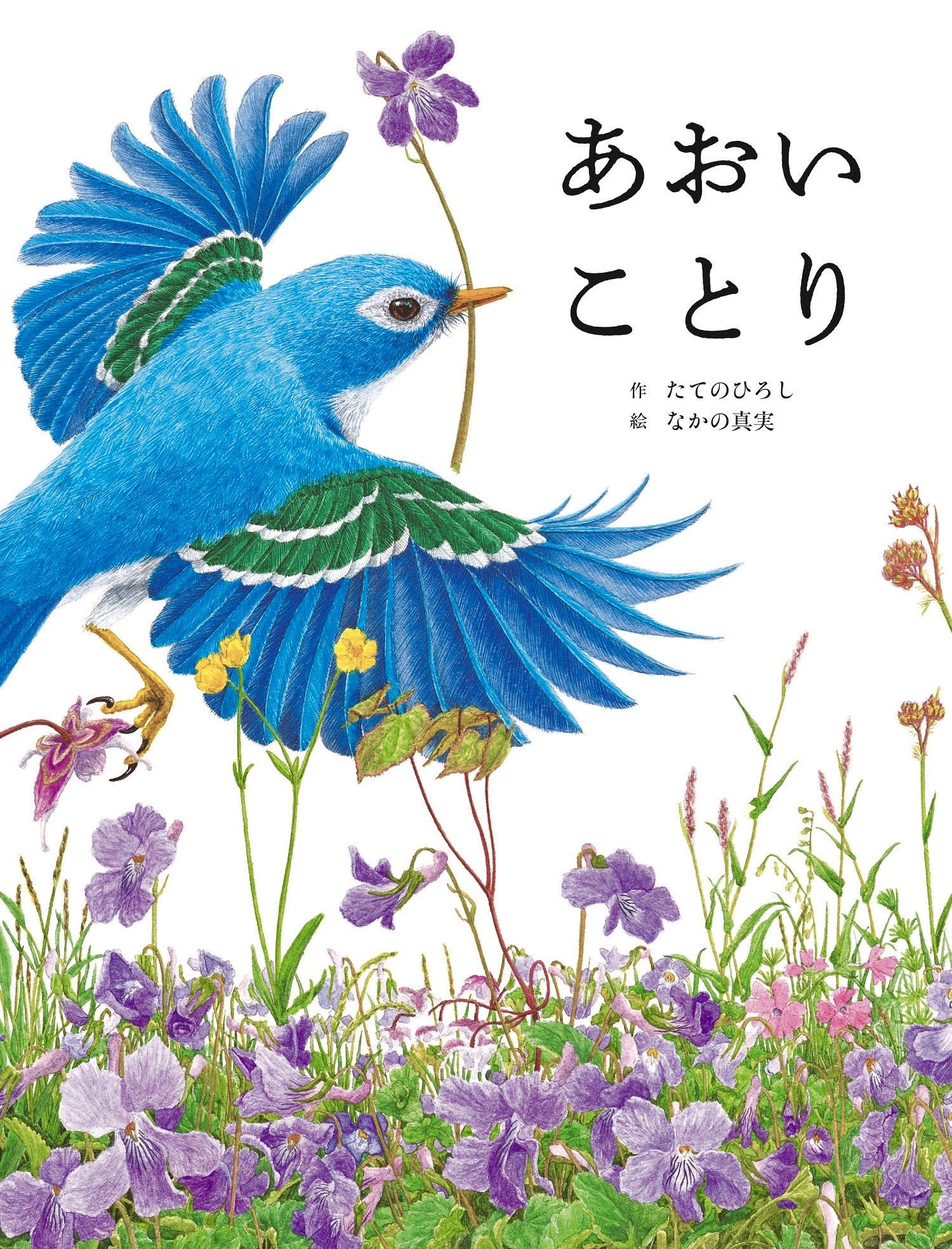あおいことり | 猫本専門書店 書肆 吾輩堂