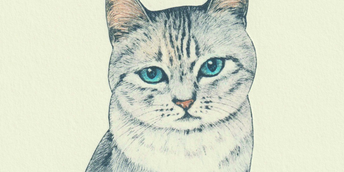 坂本千明さんの作品展「ねこのうた」、11/30まで開催中