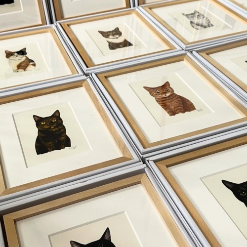 11/8からスタートする坂本千明さんの作品展について