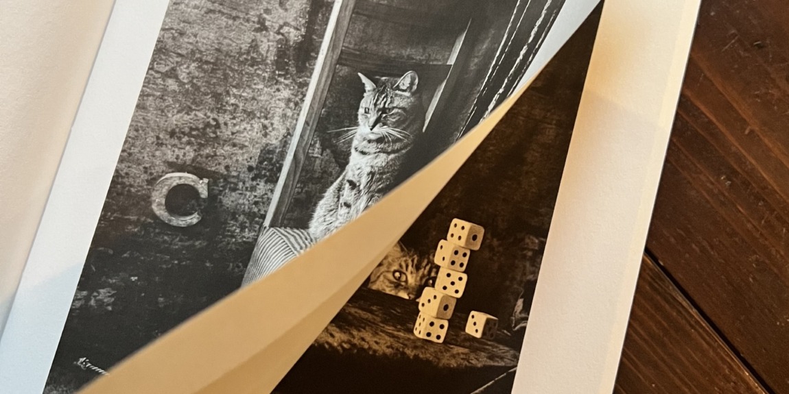 上野昌子さん写真集（zine ）入荷しました