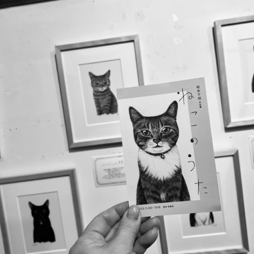 坂本千明さんの展覧会終了しました