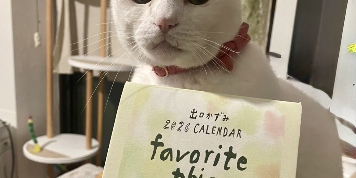 出口かずみさんのカレンダーが入荷しました