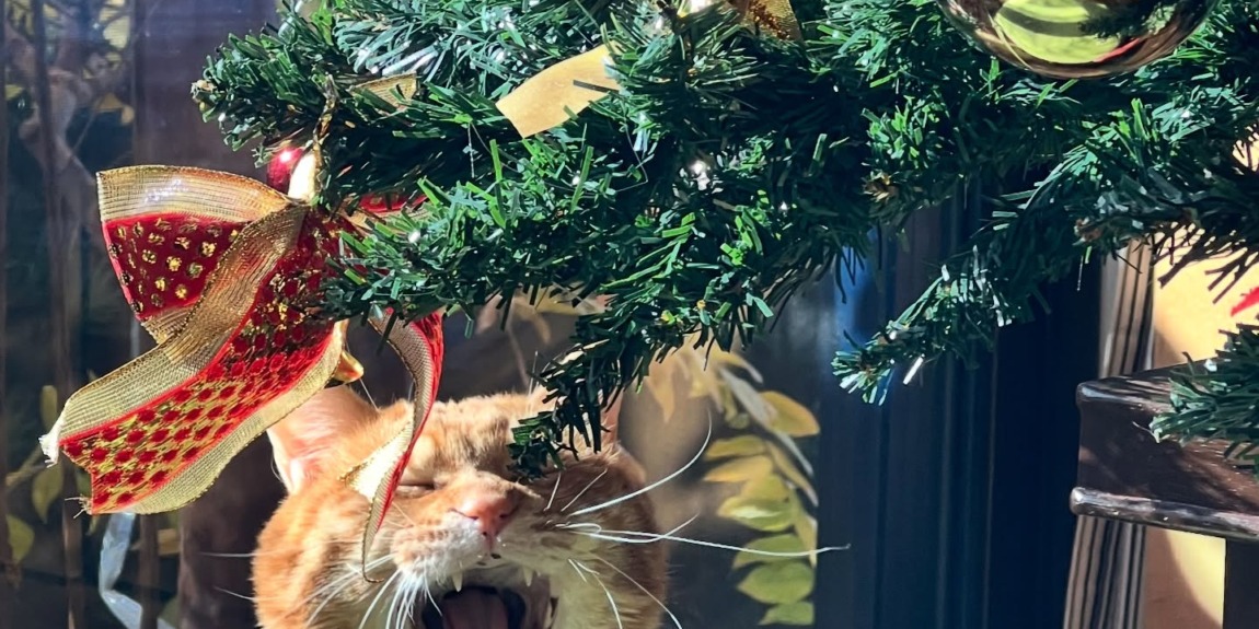 冬にぴったりな本や雑貨です