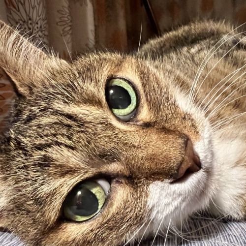 実店舗営業時間変更のお知らせ