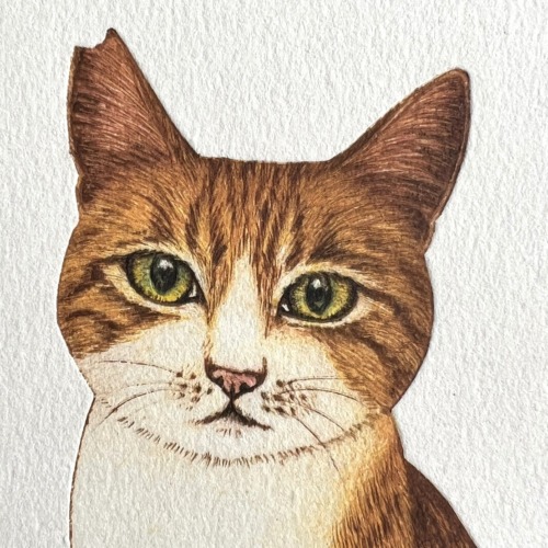 坂本千明さんのシート作品を通販します