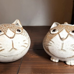 やけたトタン屋根の猫 | 猫本専門書店 書肆 吾輩堂