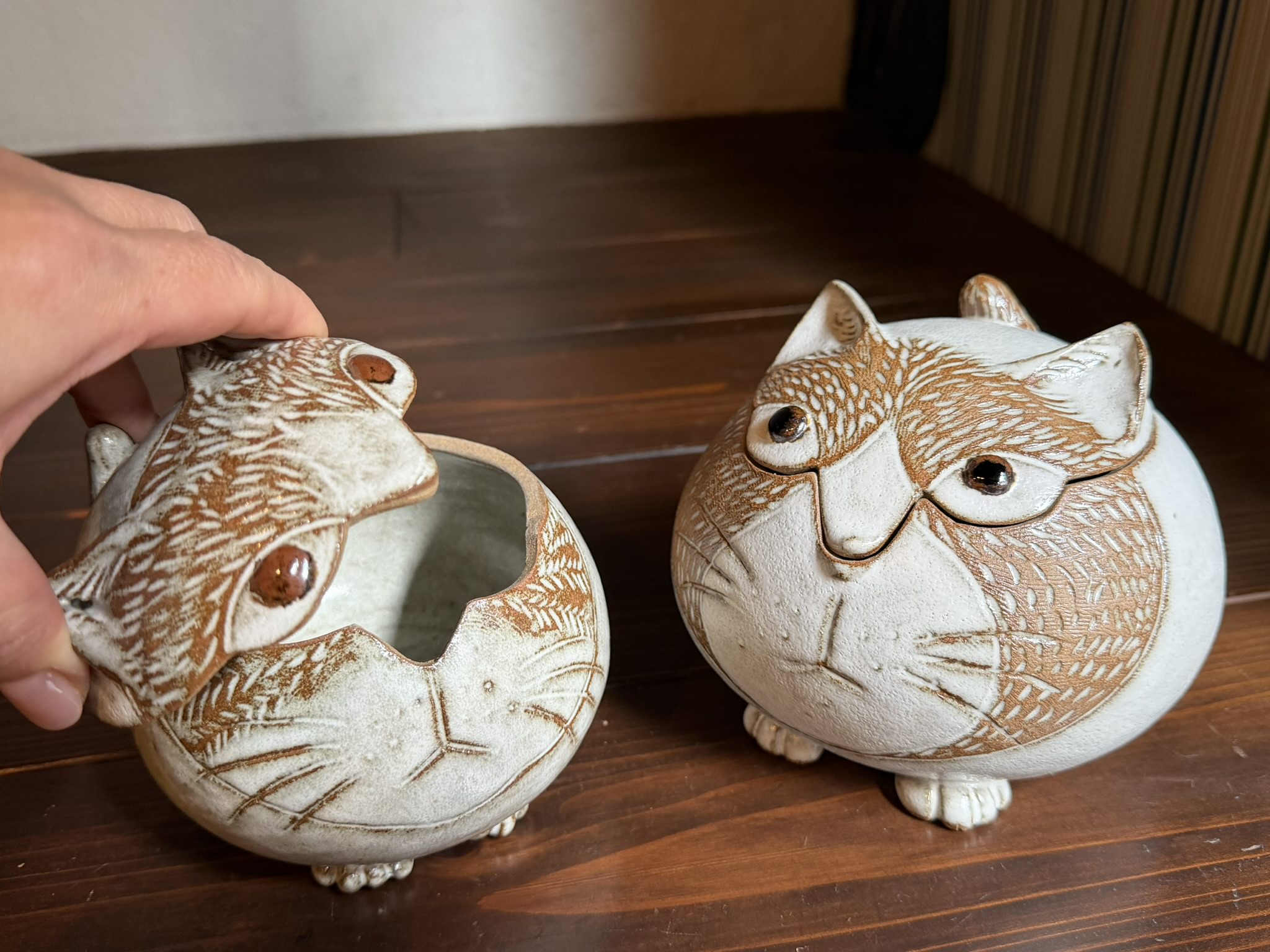 Yo窯さんの陶器特集 | 猫本専門書店 書肆 吾輩堂