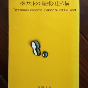 猫の民俗学 | 猫本専門書店 書肆 吾輩堂