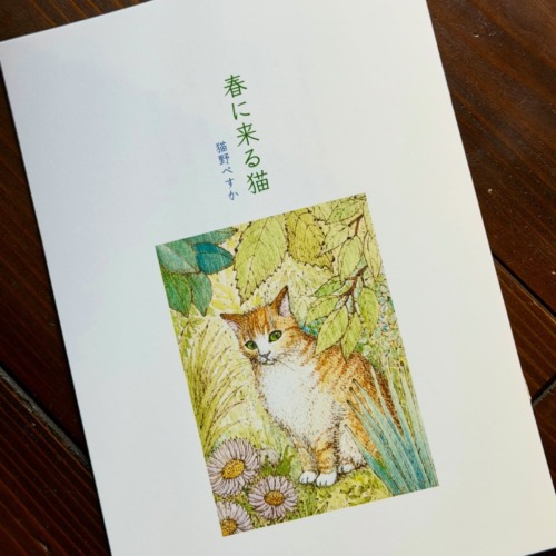 【サイン入り】小冊子「春に来る猫」