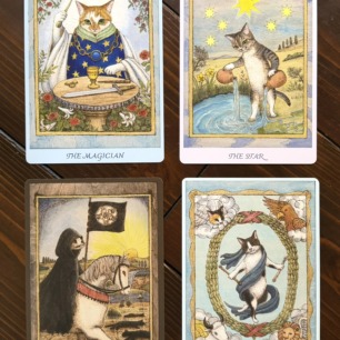 町田尚子 白木生誕記念ポストカード | 猫本専門書店 書肆 吾輩堂