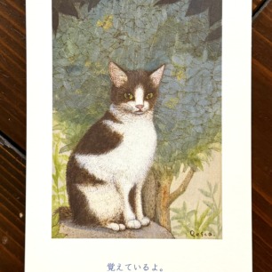 ゴーリー BALLET CATS マグネット | 猫本専門書店 書肆 吾輩堂