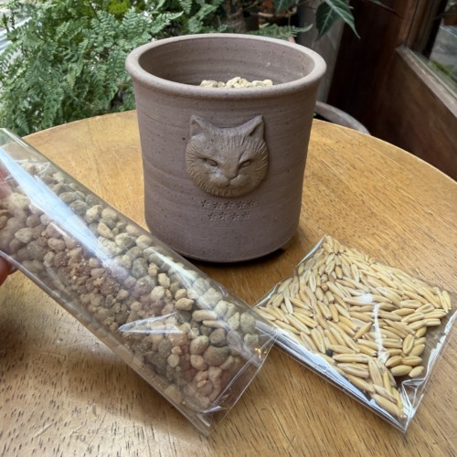 熊本象陶器　「三脚植木鉢　猫」小（土＋猫草の種付き）
