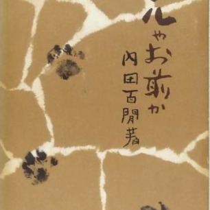 捨て猫ミーちゃん | 猫本専門書店 書肆 吾輩堂