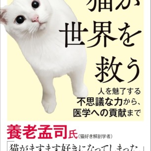 猫の顔