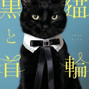 捨て猫ミーちゃん | 猫本専門書店 書肆 吾輩堂