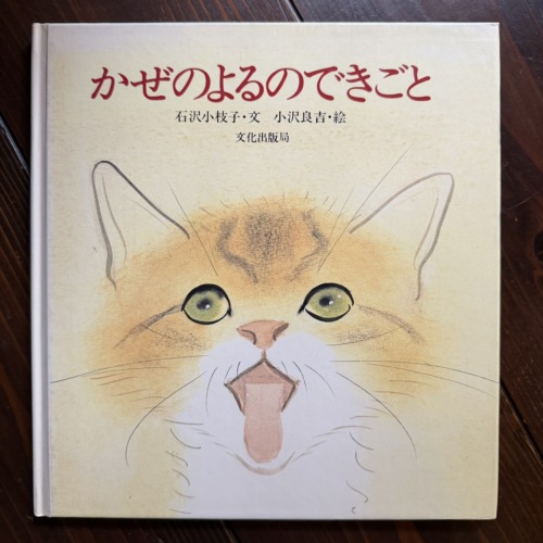 かぜのよるのできごと
